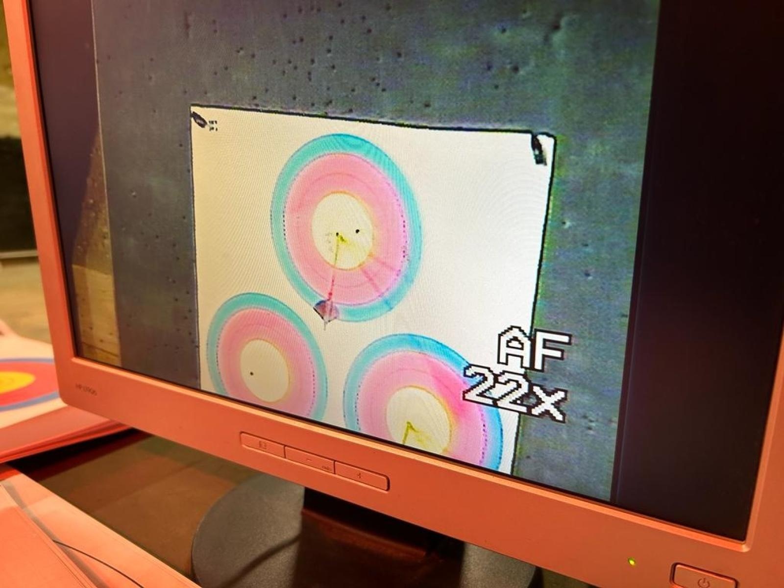 Zdjęcie w galerii na portalu naszraciborz.pl: W Sylwestra strzelam tylko z łuku. Zawody RSS wiadomości z regionu