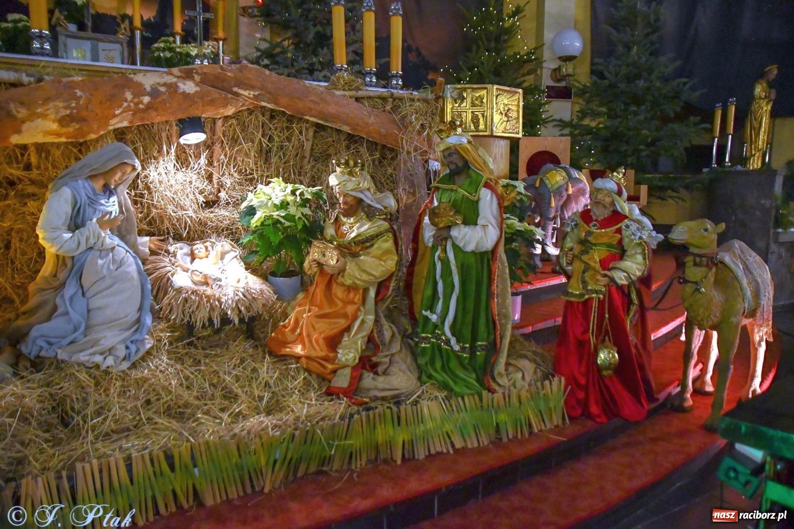 Zdjęcie w galerii na portalu naszraciborz.pl: Raciborski Orszak Trzech Króli [FOTO i WIDEO] wiadomości z regionu