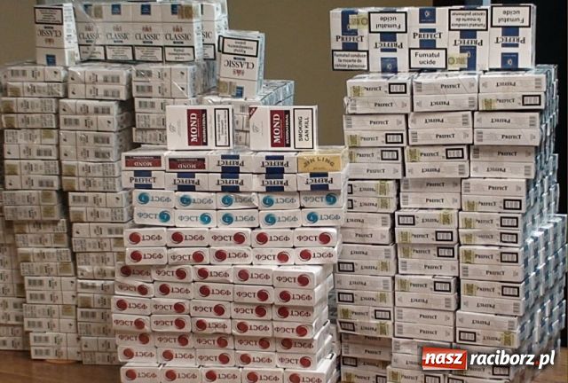Zdjęcie w galerii na portalu naszraciborz.pl: ŚOSG: Zatrzymane nielegalne papierosy wiadomości z regionu