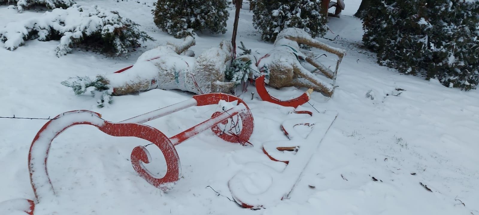 Zdjęcie w galerii na portalu naszraciborz.pl: Nocna dewastacja w Krzyżanowicach. Wandale nie oszczędzili świątecznych dekoracji wiadomości z regionu