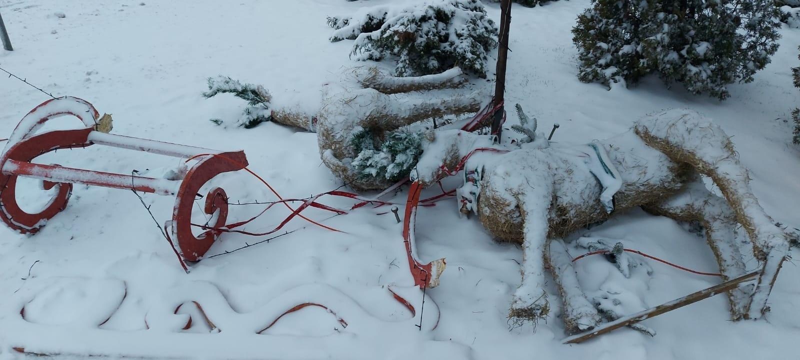 Zdjęcie w galerii na portalu naszraciborz.pl: Nocna dewastacja w Krzyżanowicach. Wandale nie oszczędzili świątecznych dekoracji wiadomości z regionu
