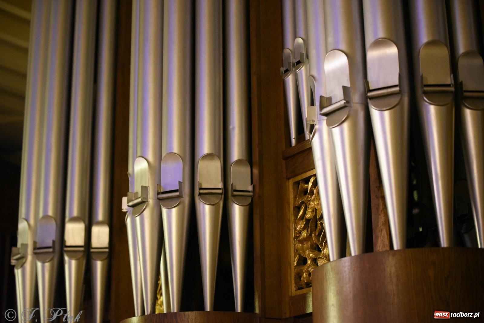 Zdjęcie w galerii na portalu naszraciborz.pl: Goście z Opola zagrali w okrąglaku [FOTO] wiadomości z regionu