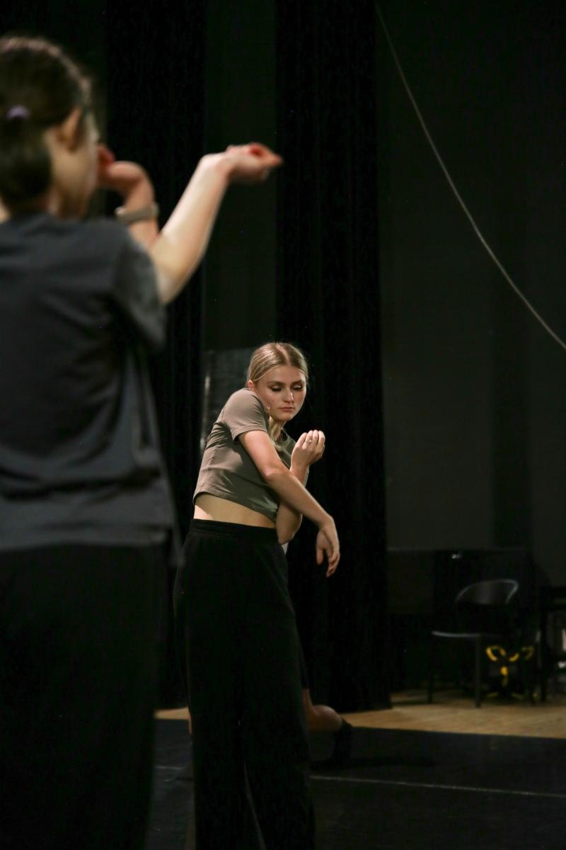 Zdjęcie w galerii na portalu naszraciborz.pl: Awangardowa Edukacja Kulturalna B. Schaeffera w RCK [FOTO i WIDEO] wiadomości z regionu