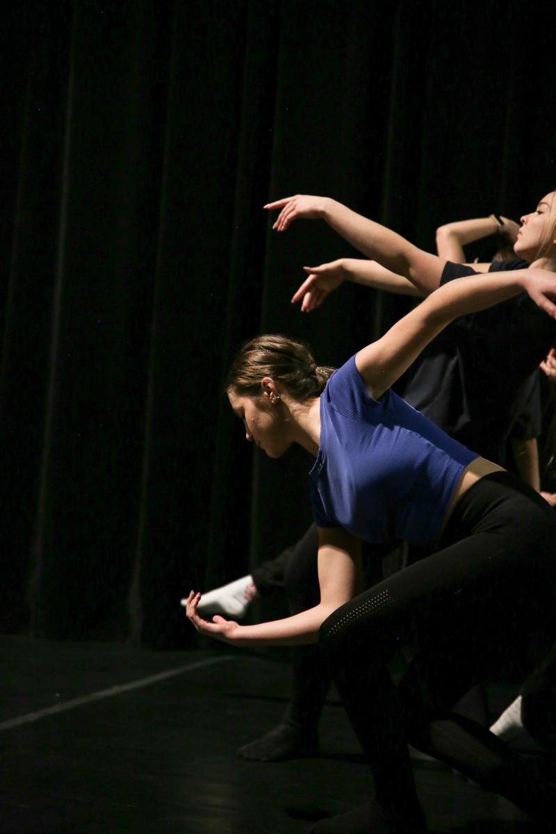 Zdjęcie w galerii na portalu naszraciborz.pl: Awangardowa Edukacja Kulturalna B. Schaeffera w RCK [FOTO i WIDEO] wiadomości z regionu