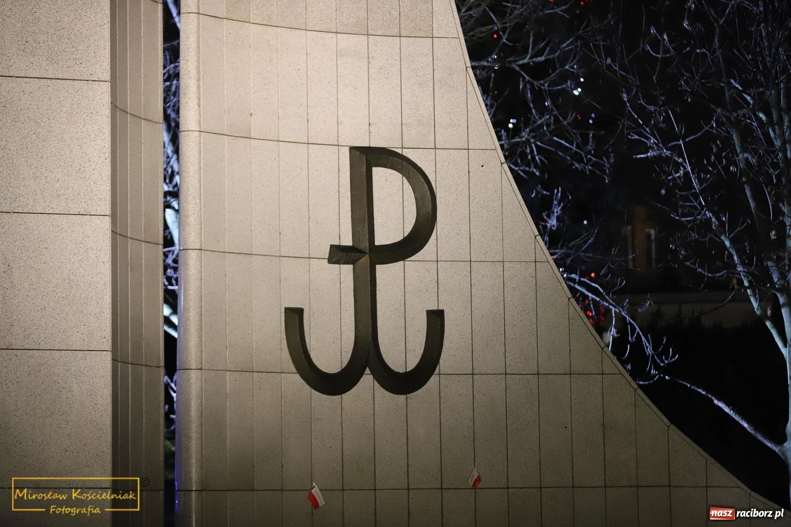 Zdjęcie w galerii na portalu naszraciborz.pl: Protest wolnych Polaków - grupa raciborska [FOTO i WIDEO] wiadomości z regionu