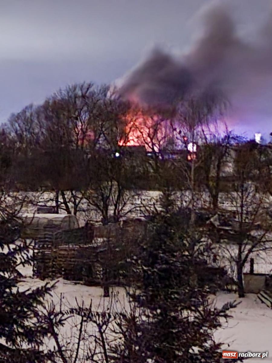 Zdjęcie w galerii na portalu naszraciborz.pl: W nocy spłonęła hala przy Łąkowej. Straty liczone w milionach [FOTO i WIDEO] wiadomości z regionu