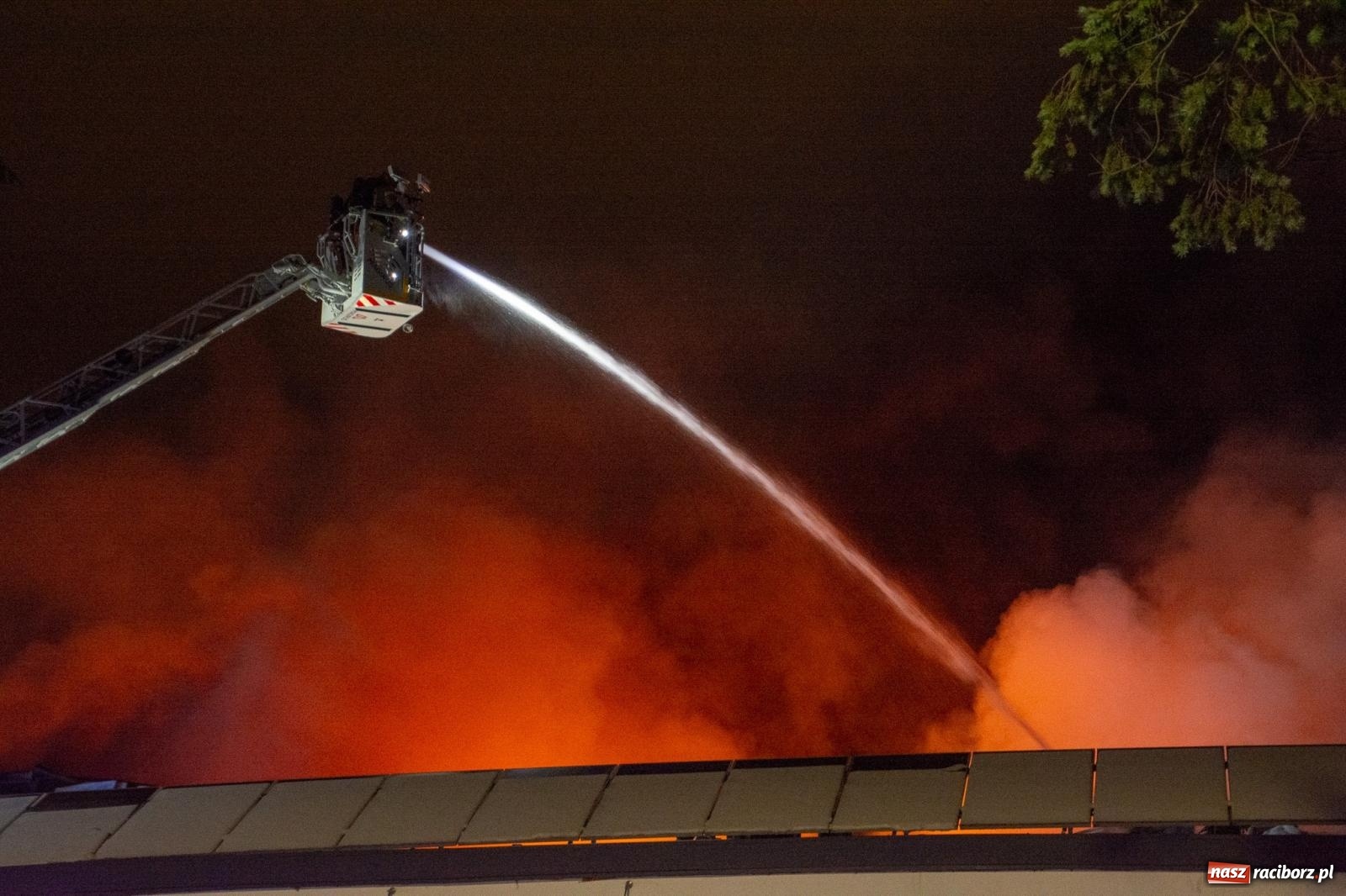 Zdjęcie w galerii na portalu naszraciborz.pl: W nocy spłonęła hala przy Łąkowej. Straty liczone w milionach [FOTO i WIDEO] wiadomości z regionu