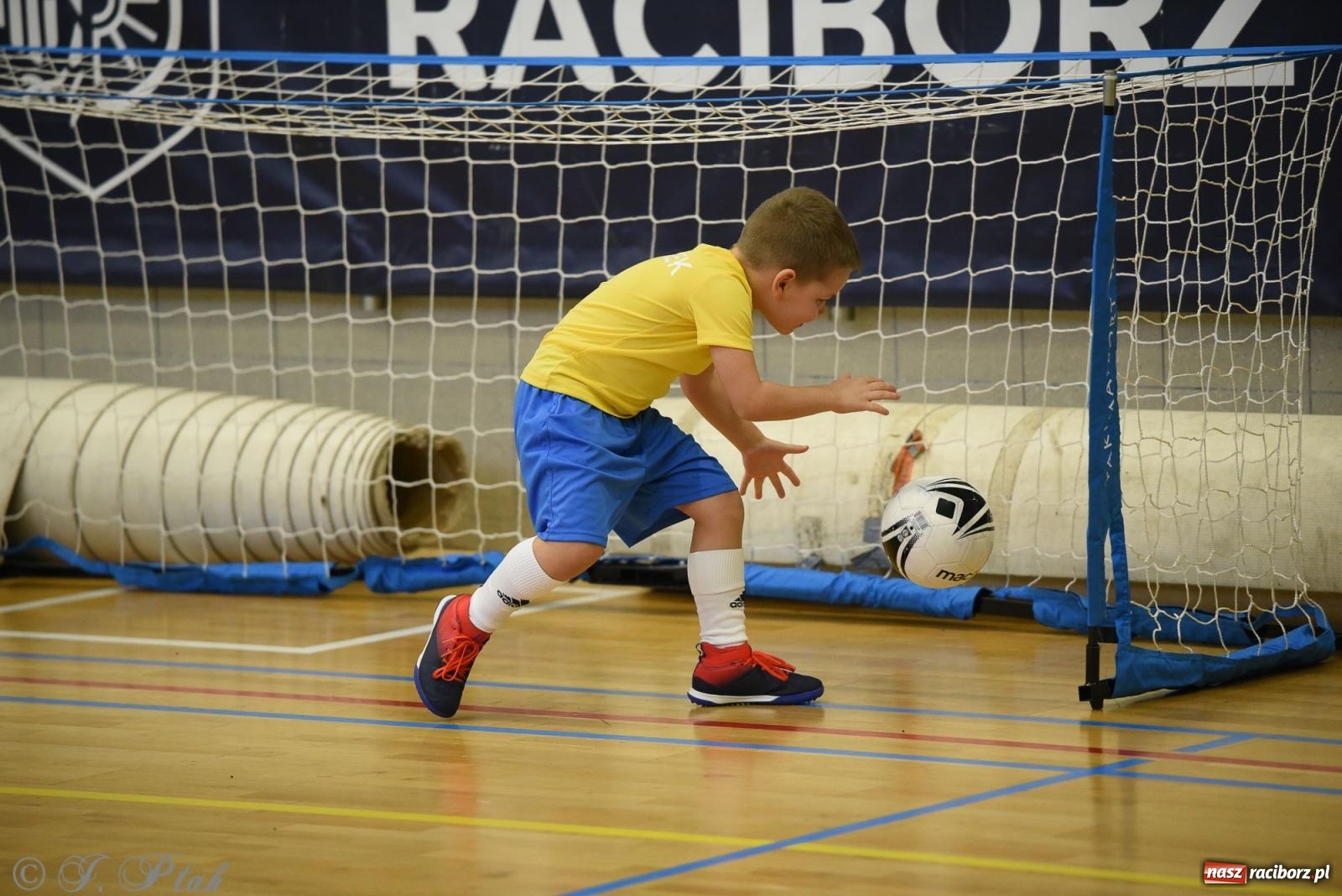 Zdjęcie w galerii na portalu naszraciborz.pl: Noworoczne granie rocznika 2018 [FOTO] wiadomości z regionu