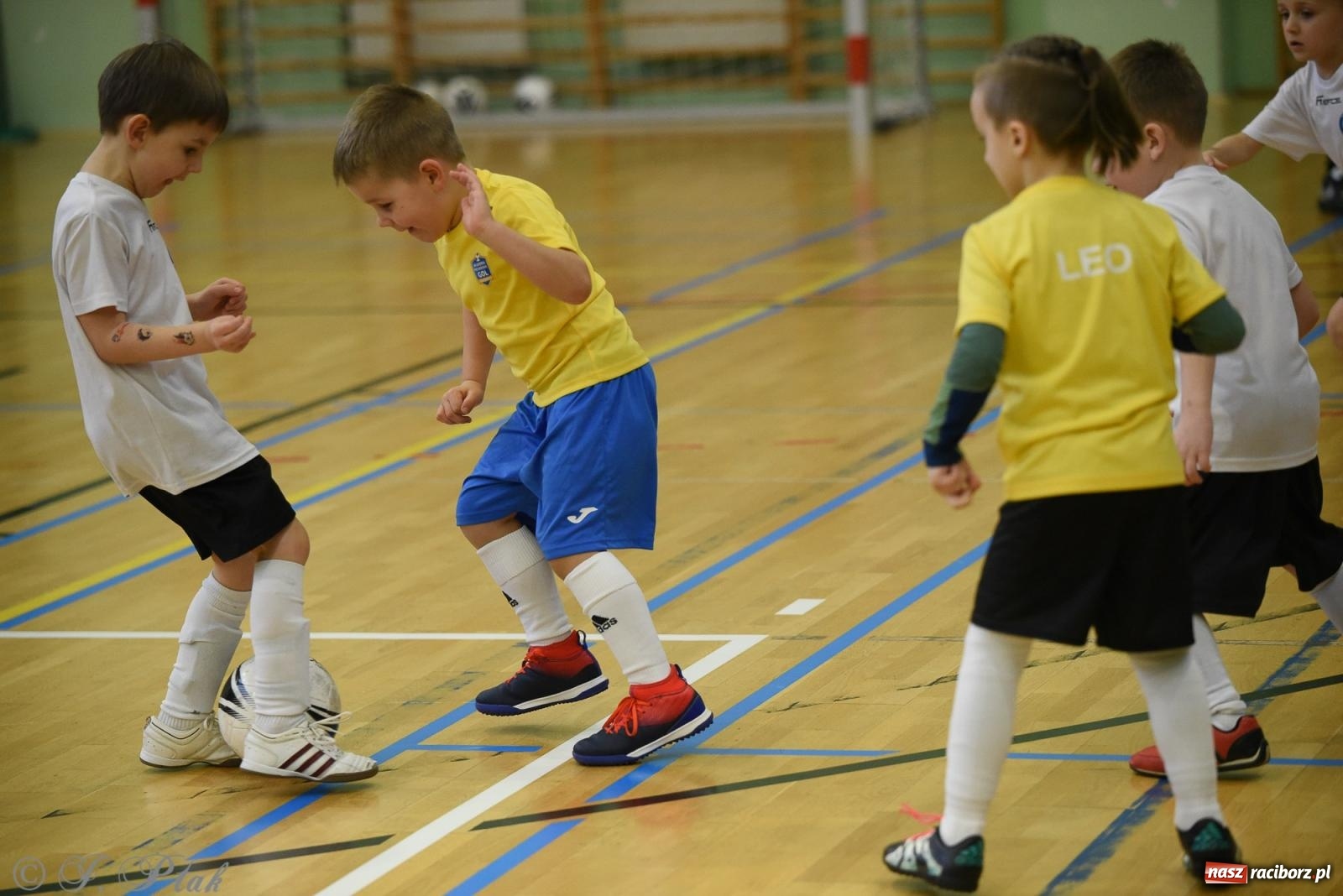 Zdjęcie w galerii na portalu naszraciborz.pl: Noworoczne granie rocznika 2018 [FOTO] wiadomości z regionu