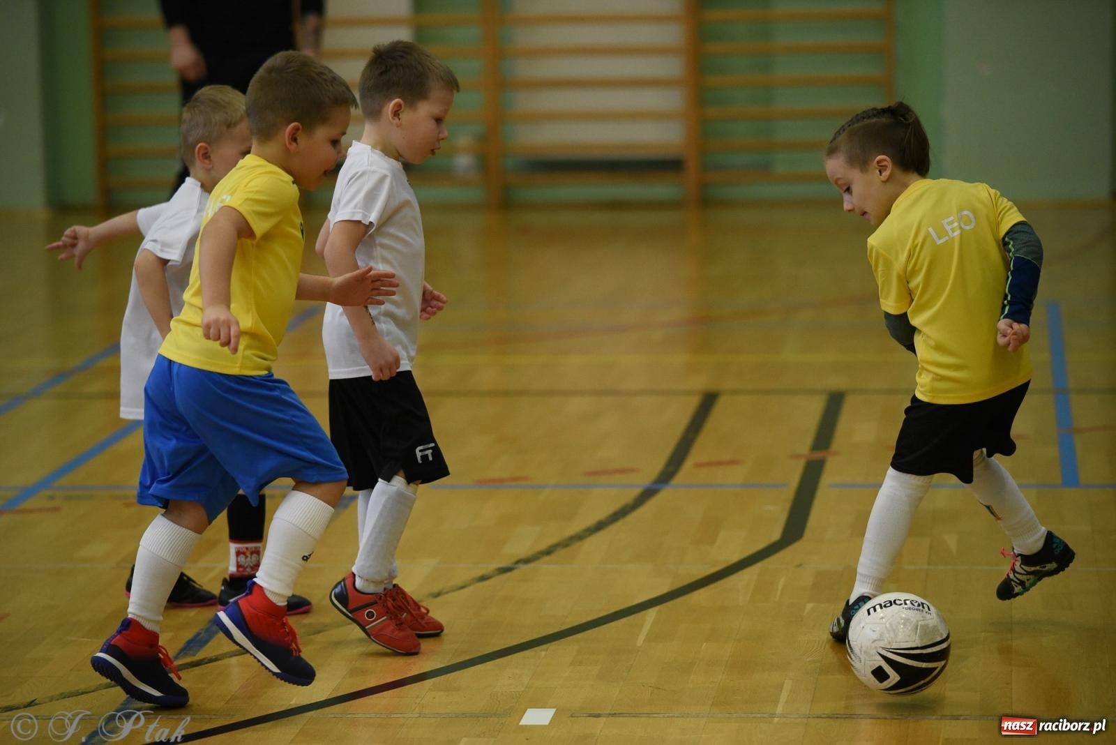 Zdjęcie w galerii na portalu naszraciborz.pl: Noworoczne granie rocznika 2018 [FOTO] wiadomości z regionu
