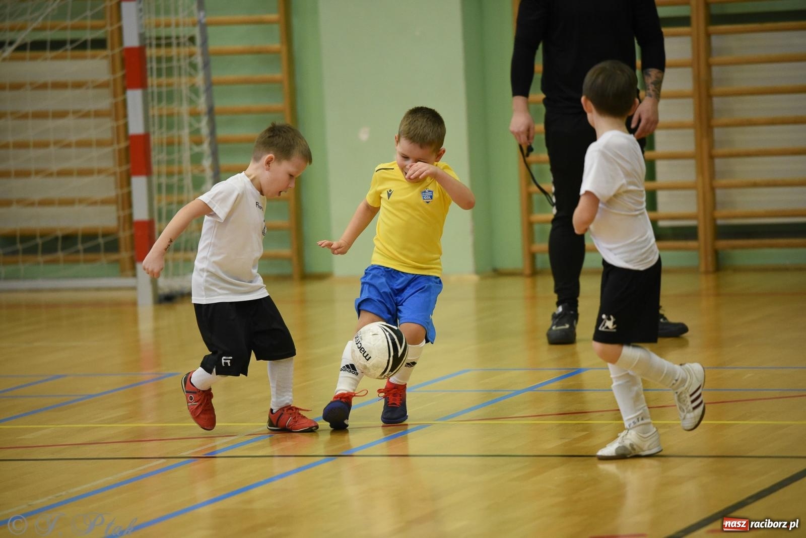 Zdjęcie w galerii na portalu naszraciborz.pl: Noworoczne granie rocznika 2018 [FOTO] wiadomości z regionu