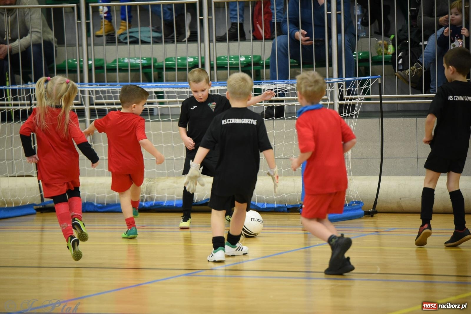 Zdjęcie w galerii na portalu naszraciborz.pl: Noworoczne granie rocznika 2018 [FOTO] wiadomości z regionu