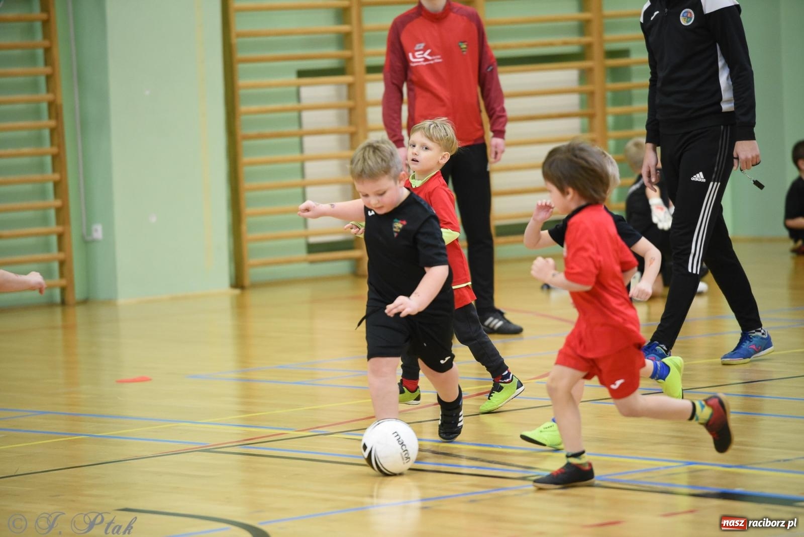 Zdjęcie w galerii na portalu naszraciborz.pl: Noworoczne granie rocznika 2018 [FOTO] wiadomości z regionu