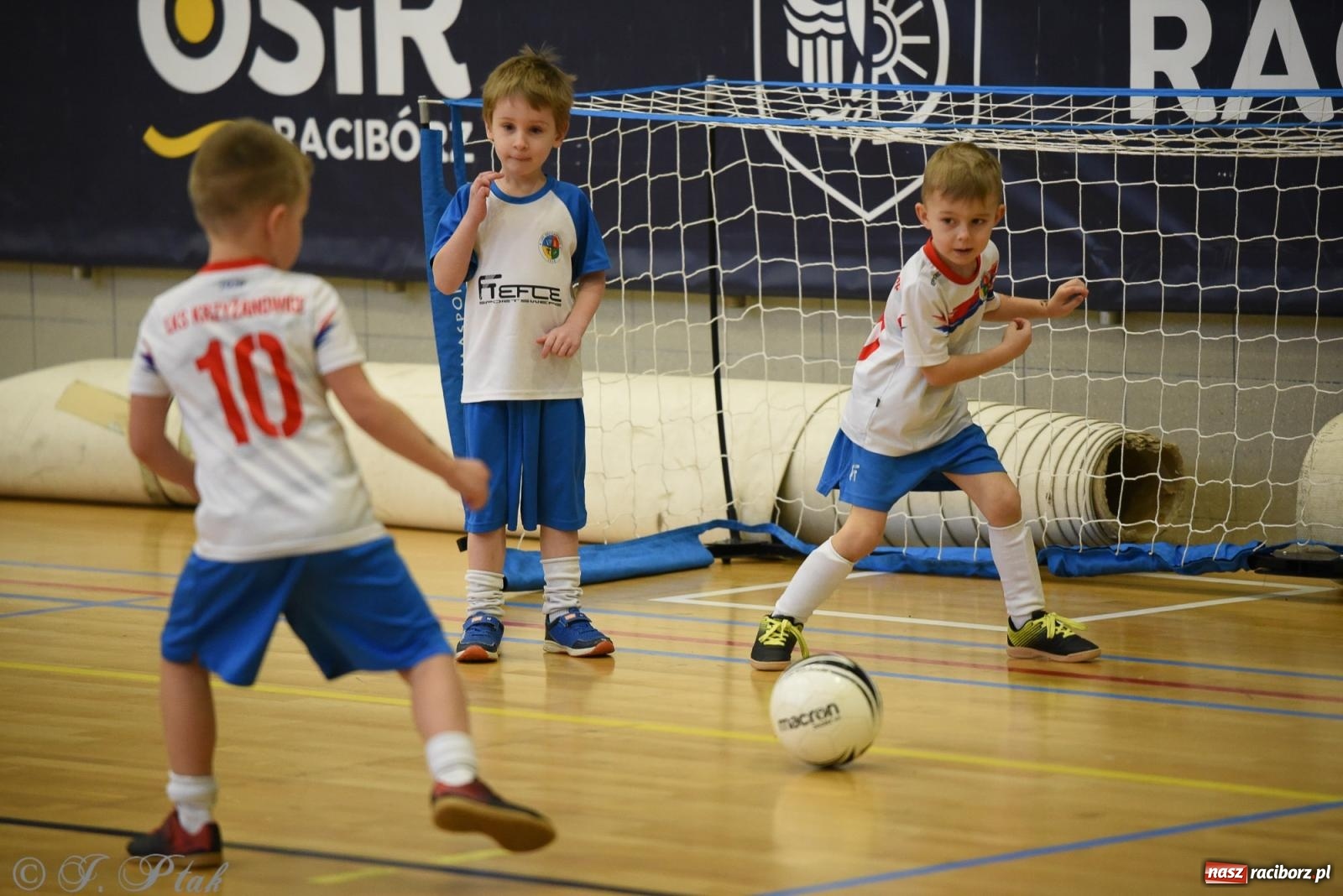 Zdjęcie w galerii na portalu naszraciborz.pl: Noworoczne granie rocznika 2018 [FOTO] wiadomości z regionu