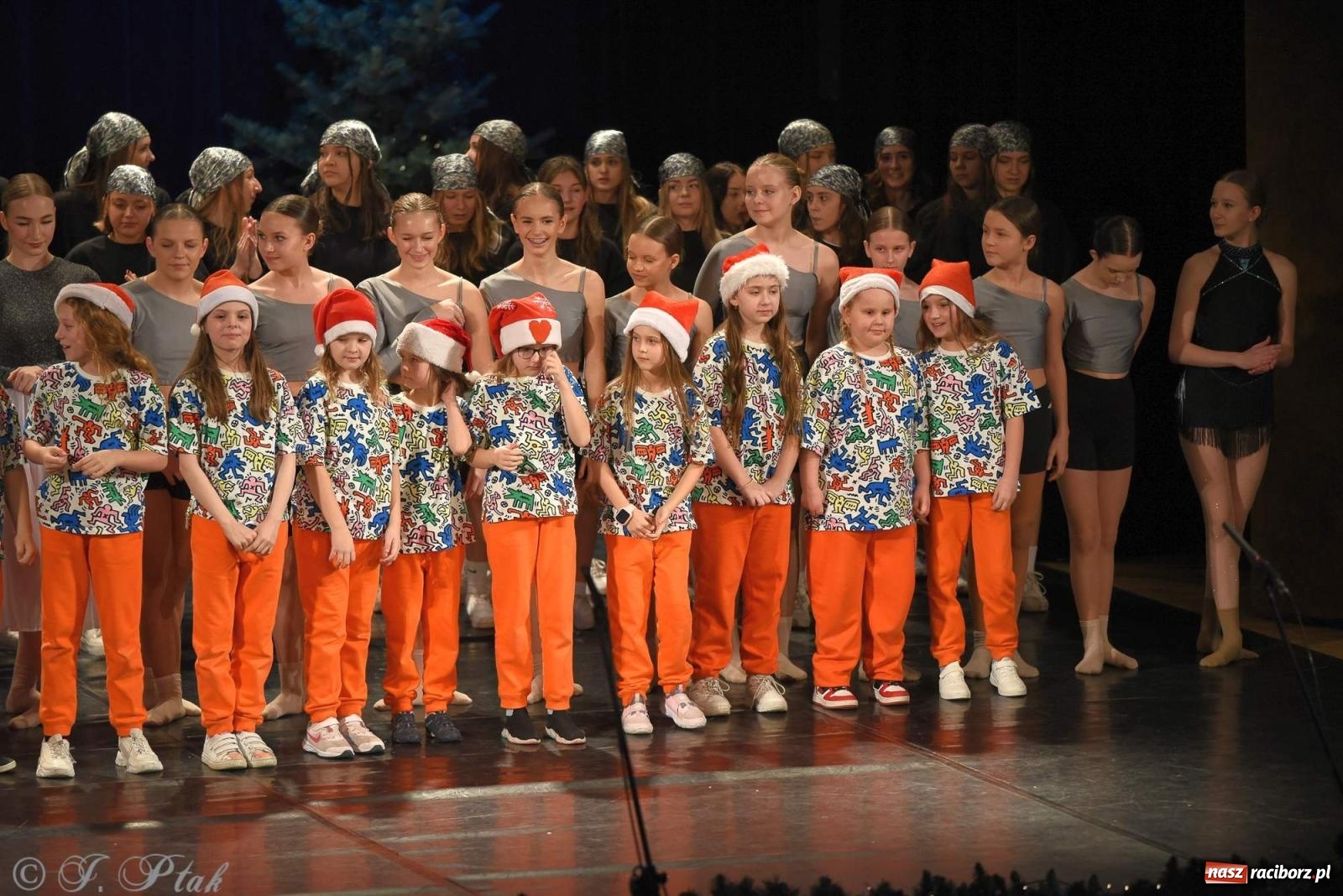 Zdjęcie w galerii na portalu naszraciborz.pl: Strzecha i Skaza na wspólnym koncercie w RCK wiadomości z regionu