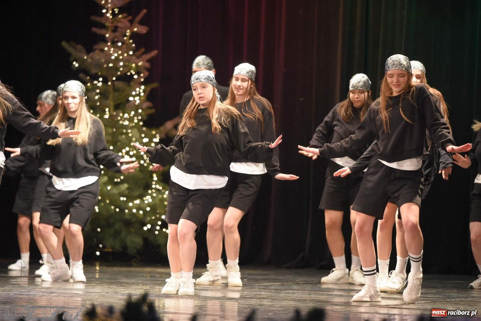 Zdjęcie w galerii na portalu naszraciborz.pl: Strzecha i Skaza na wspólnym koncercie w RCK wiadomości z regionu