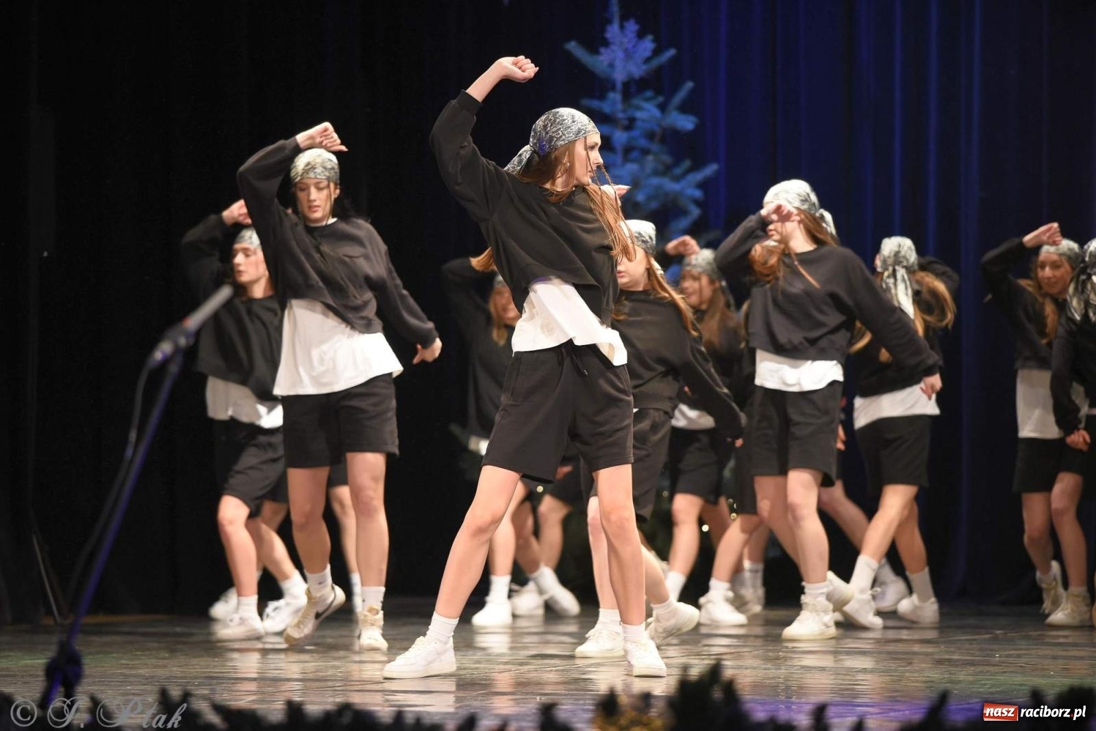 Zdjęcie w galerii na portalu naszraciborz.pl: Strzecha i Skaza na wspólnym koncercie w RCK wiadomości z regionu