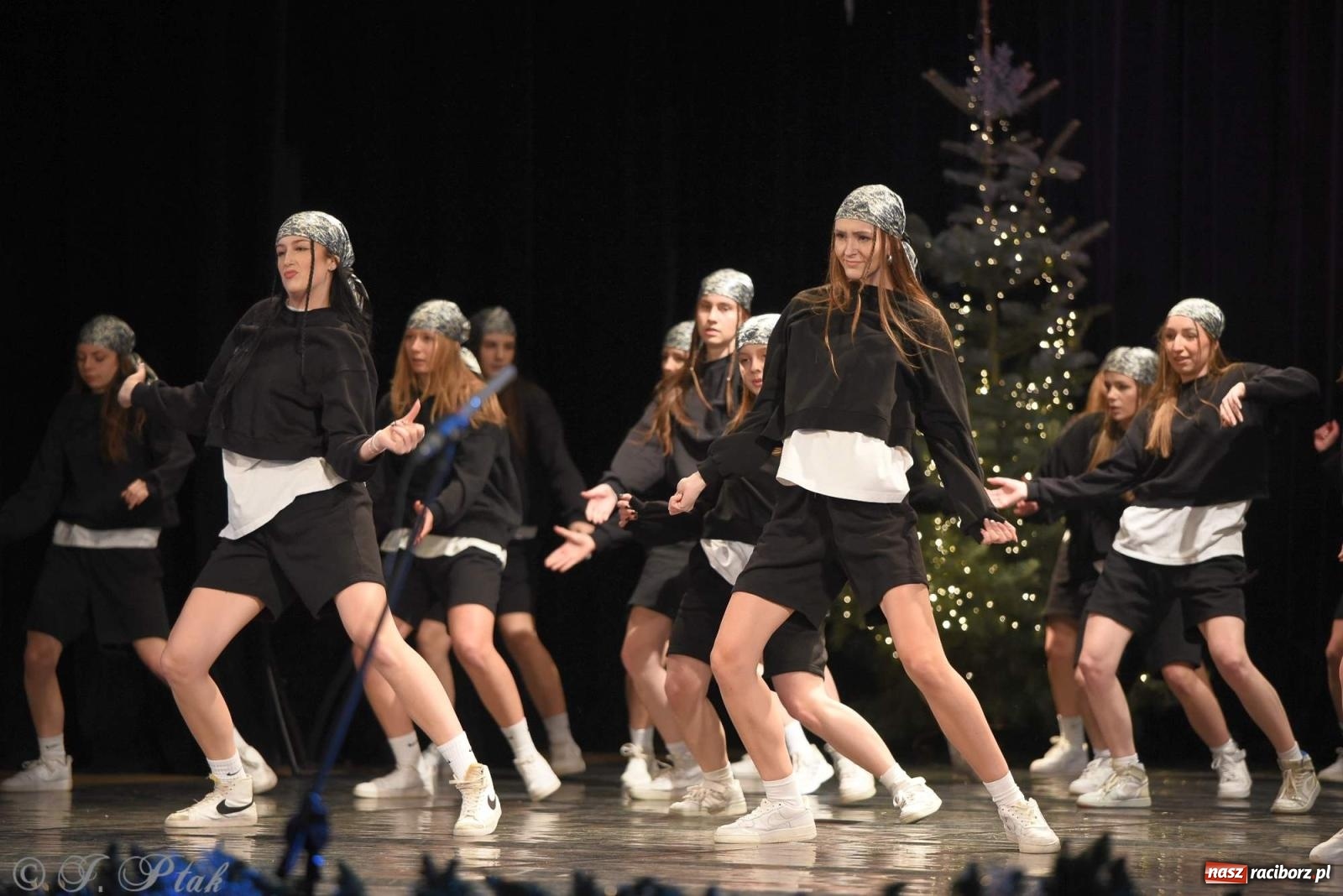 Zdjęcie w galerii na portalu naszraciborz.pl: Strzecha i Skaza na wspólnym koncercie w RCK wiadomości z regionu