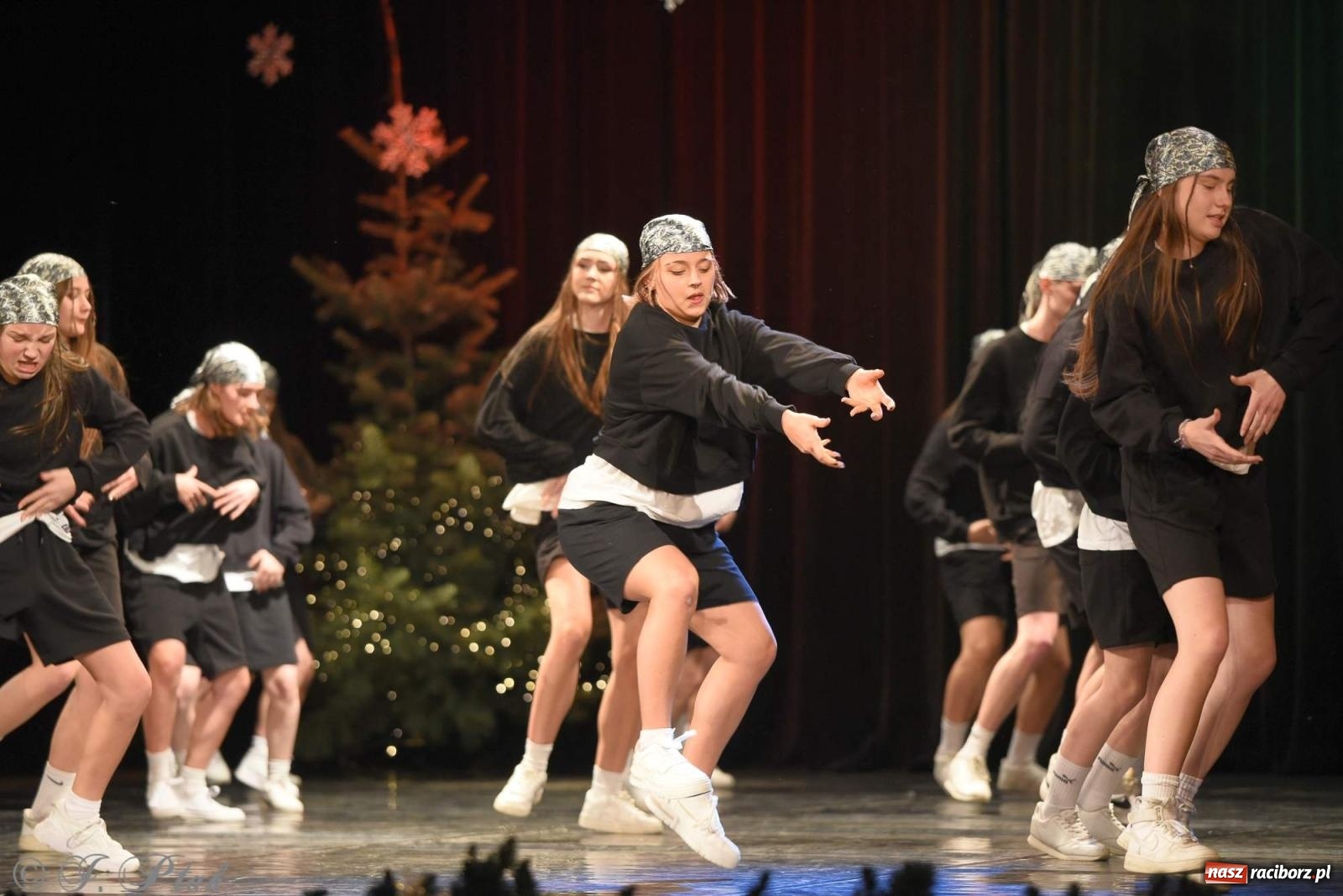 Zdjęcie w galerii na portalu naszraciborz.pl: Strzecha i Skaza na wspólnym koncercie w RCK wiadomości z regionu