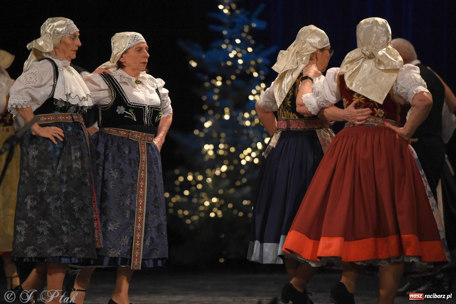 Zdjęcie w galerii na portalu naszraciborz.pl: Strzecha i Skaza na wspólnym koncercie w RCK wiadomości z regionu