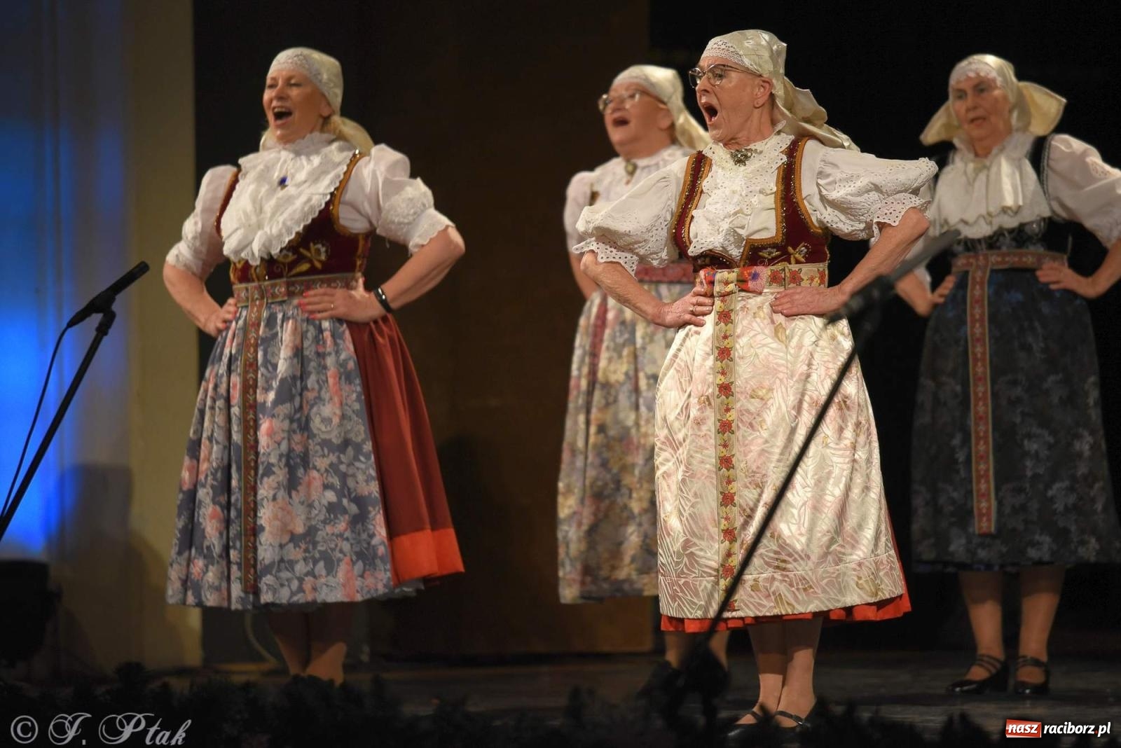 Zdjęcie w galerii na portalu naszraciborz.pl: Strzecha i Skaza na wspólnym koncercie w RCK wiadomości z regionu