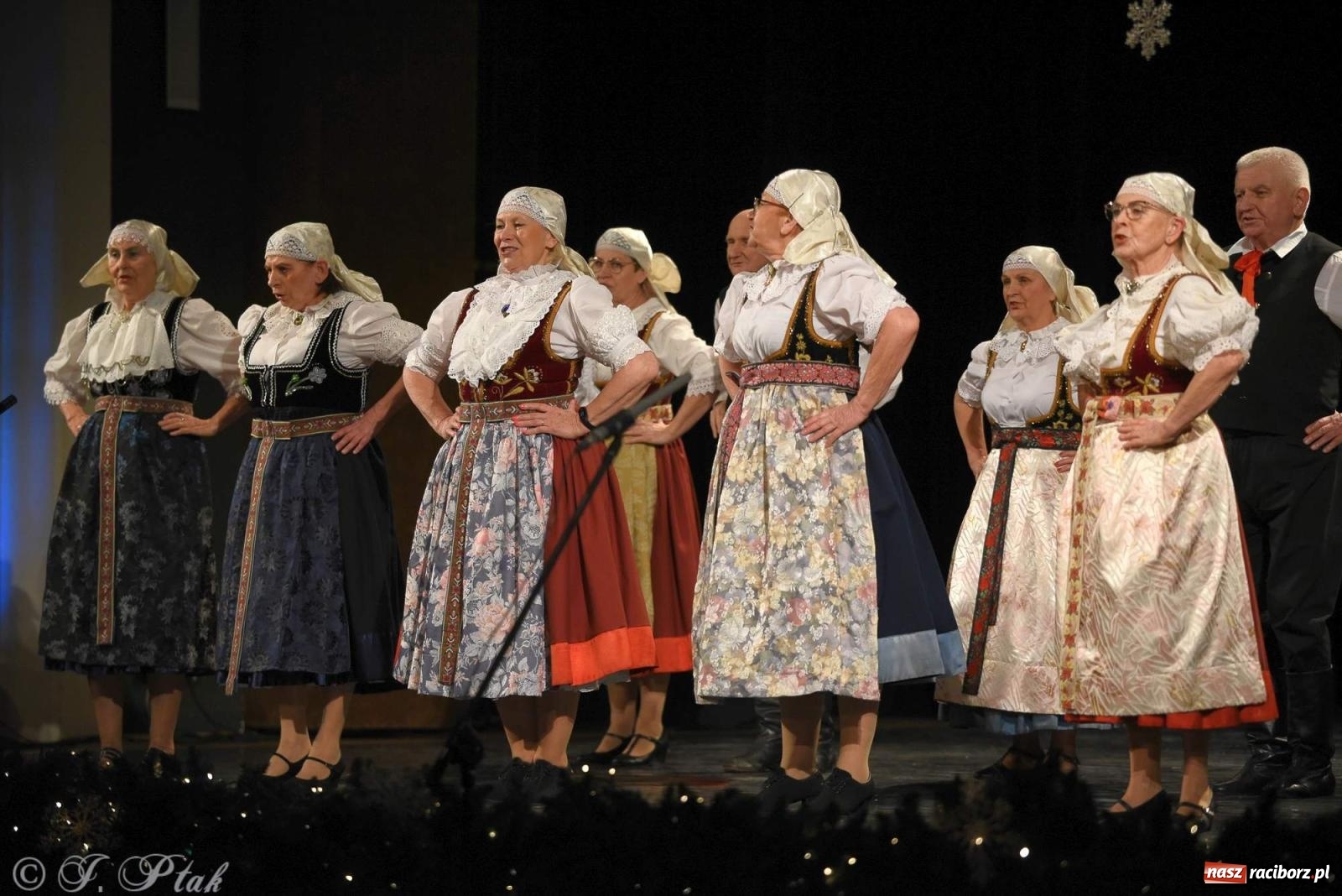 Zdjęcie w galerii na portalu naszraciborz.pl: Strzecha i Skaza na wspólnym koncercie w RCK wiadomości z regionu