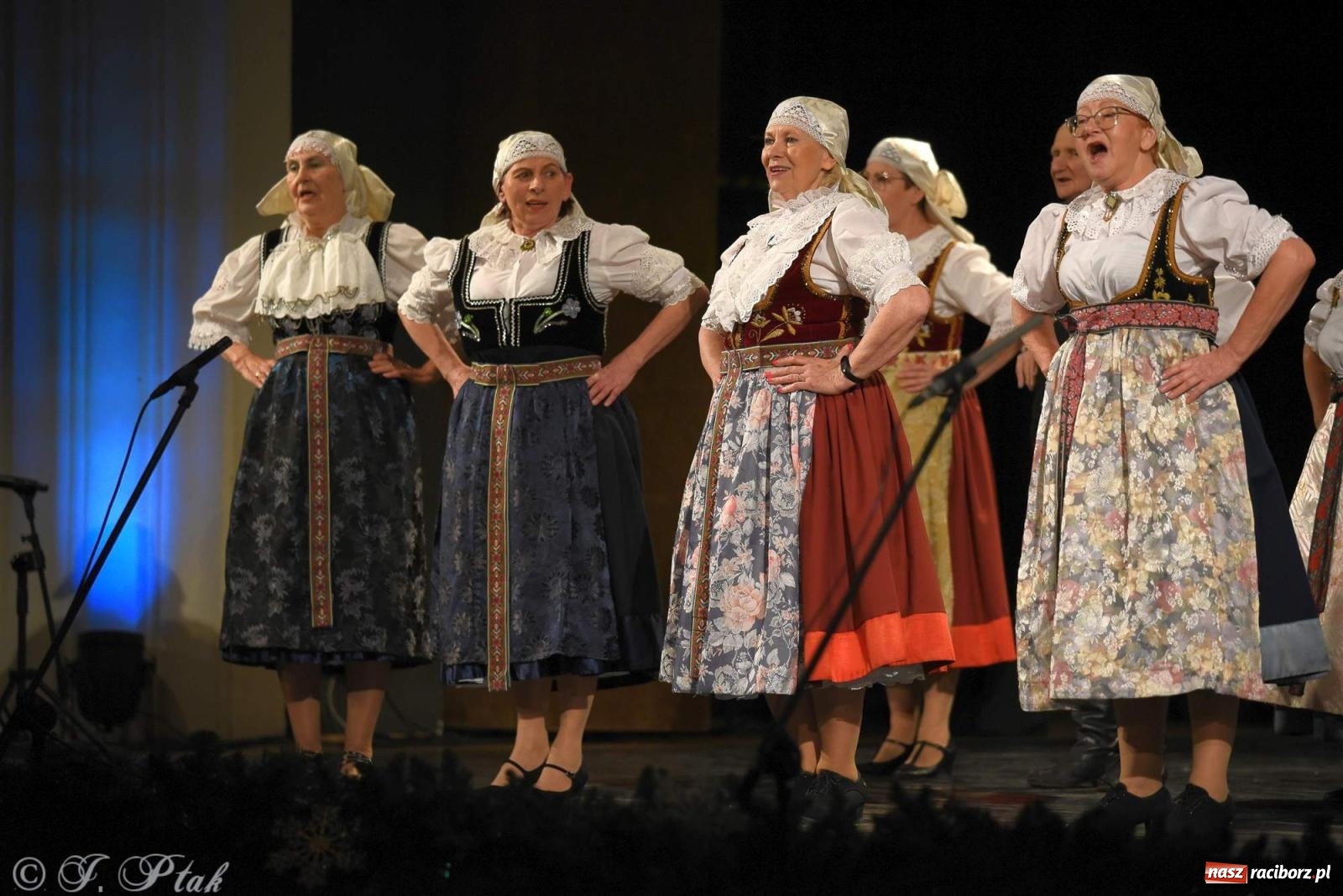 Zdjęcie w galerii na portalu naszraciborz.pl: Strzecha i Skaza na wspólnym koncercie w RCK wiadomości z regionu