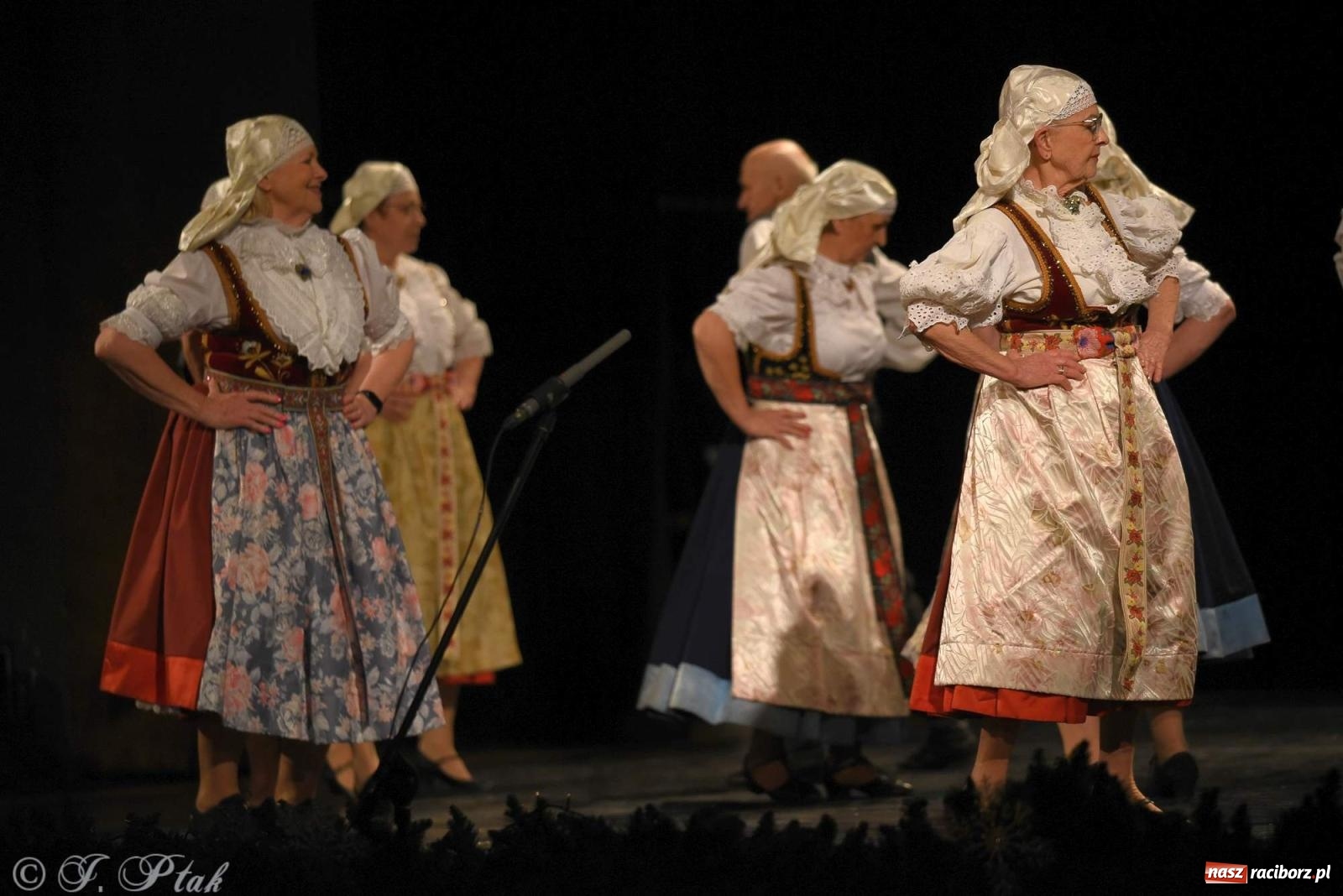 Zdjęcie w galerii na portalu naszraciborz.pl: Strzecha i Skaza na wspólnym koncercie w RCK wiadomości z regionu