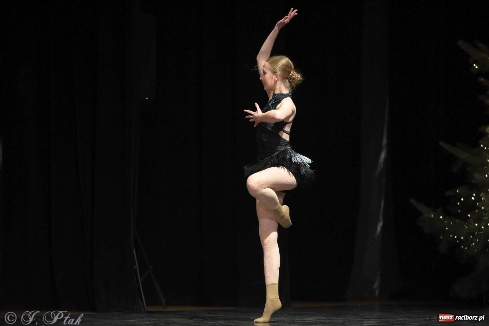 Zdjęcie w galerii na portalu naszraciborz.pl: Strzecha i Skaza na wspólnym koncercie w RCK wiadomości z regionu