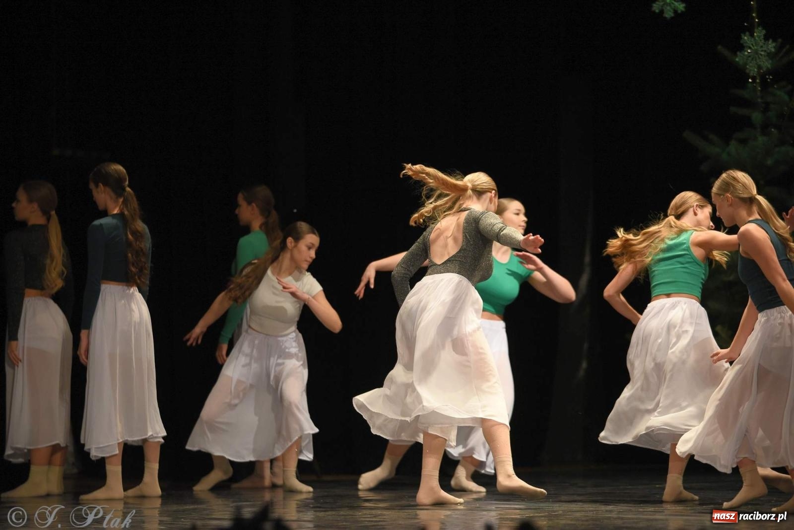 Zdjęcie w galerii na portalu naszraciborz.pl: Strzecha i Skaza na wspólnym koncercie w RCK wiadomości z regionu