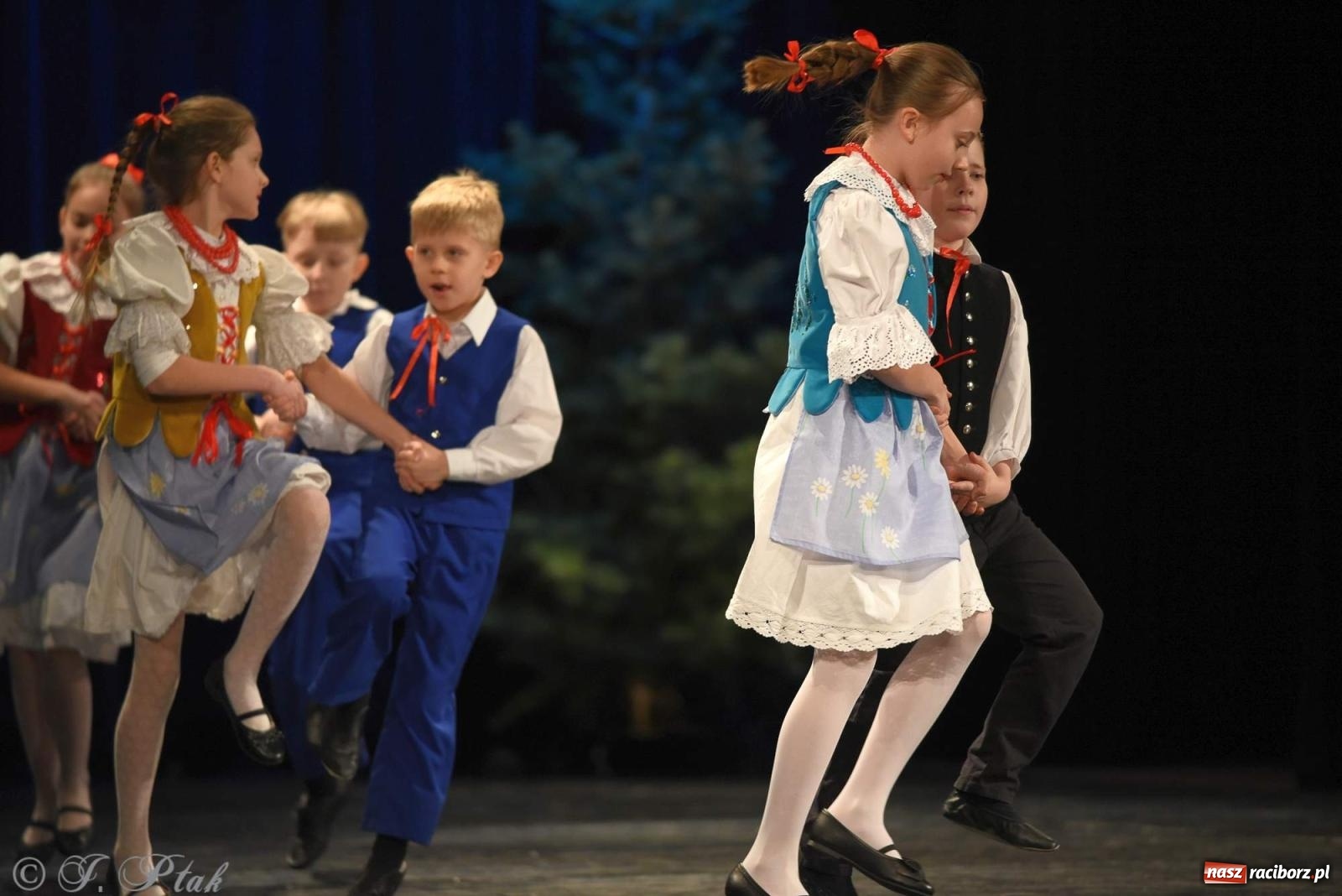 Zdjęcie w galerii na portalu naszraciborz.pl: Strzecha i Skaza na wspólnym koncercie w RCK wiadomości z regionu