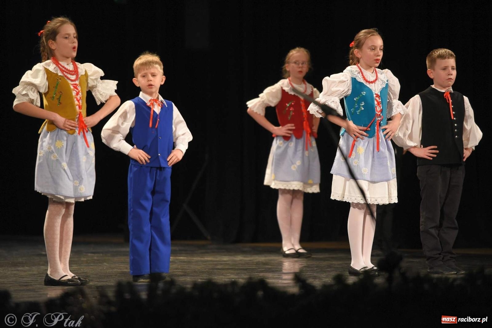 Zdjęcie w galerii na portalu naszraciborz.pl: Strzecha i Skaza na wspólnym koncercie w RCK wiadomości z regionu