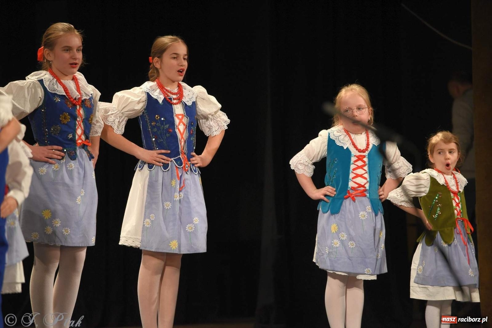 Zdjęcie w galerii na portalu naszraciborz.pl: Strzecha i Skaza na wspólnym koncercie w RCK wiadomości z regionu