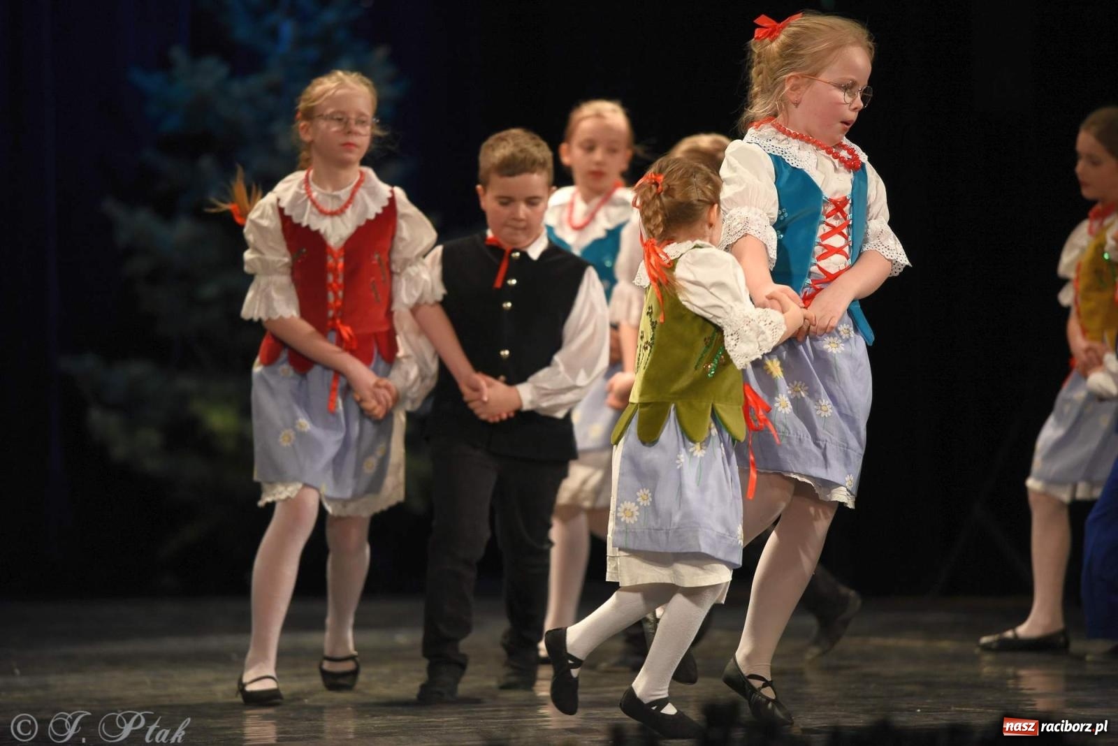 Zdjęcie w galerii na portalu naszraciborz.pl: Strzecha i Skaza na wspólnym koncercie w RCK wiadomości z regionu