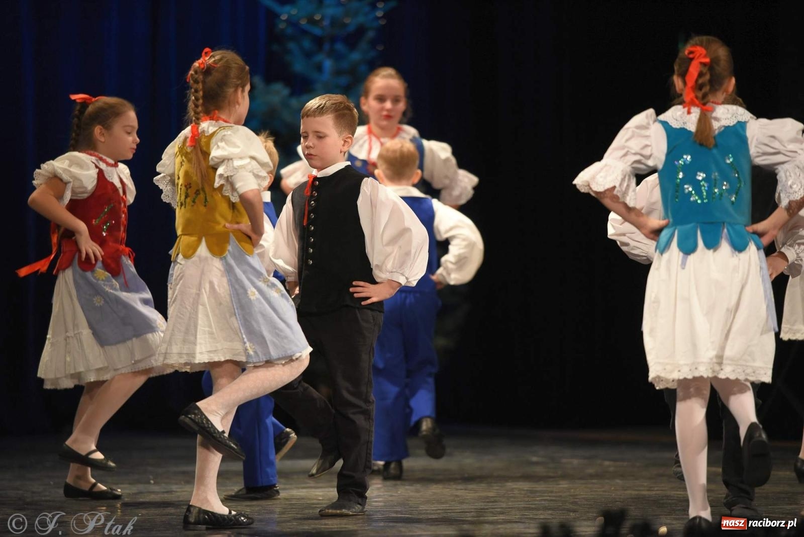 Zdjęcie w galerii na portalu naszraciborz.pl: Strzecha i Skaza na wspólnym koncercie w RCK wiadomości z regionu