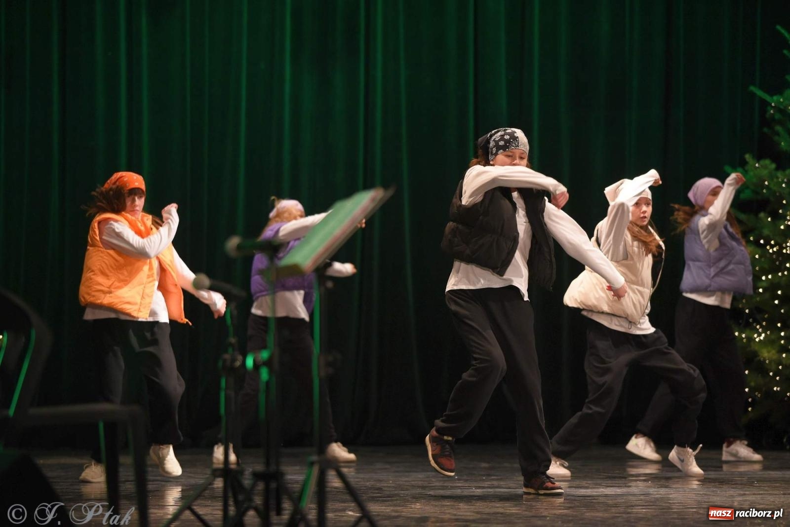 Zdjęcie w galerii na portalu naszraciborz.pl: Strzecha i Skaza na wspólnym koncercie w RCK wiadomości z regionu