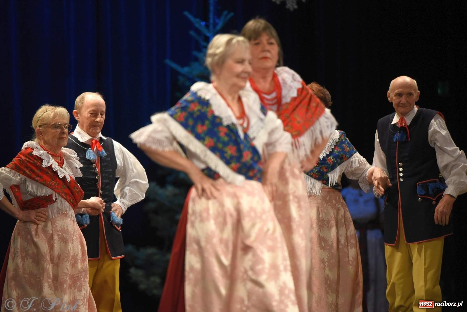 Zdjęcie w galerii na portalu naszraciborz.pl: Strzecha i Skaza na wspólnym koncercie w RCK wiadomości z regionu