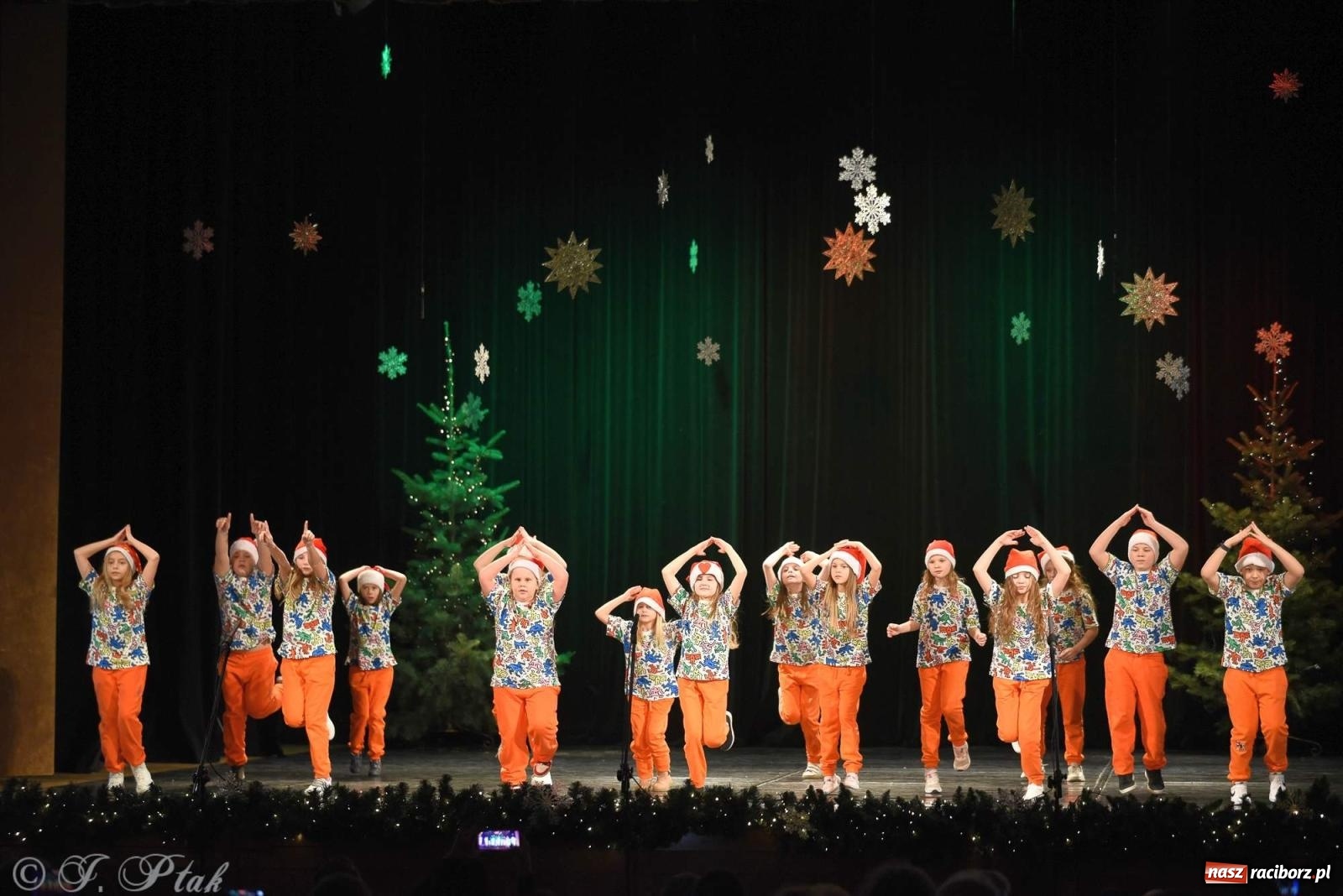 Zdjęcie w galerii na portalu naszraciborz.pl: Strzecha i Skaza na wspólnym koncercie w RCK wiadomości z regionu