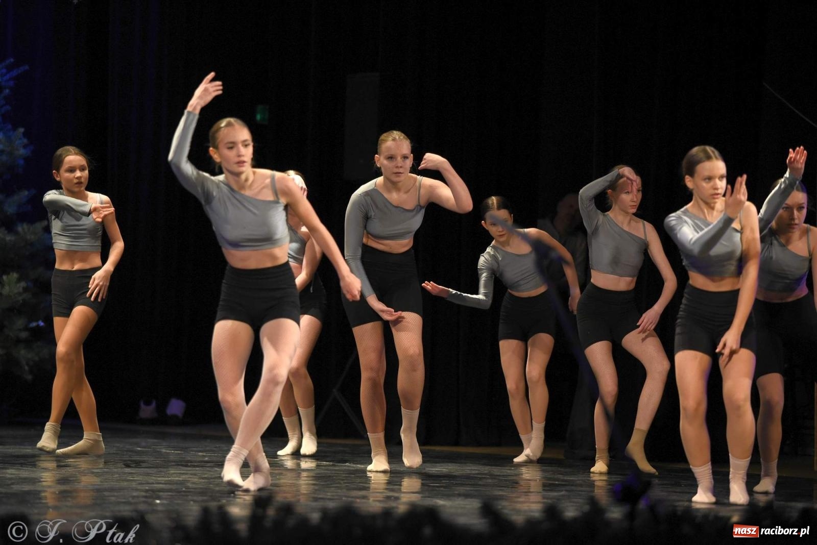 Zdjęcie w galerii na portalu naszraciborz.pl: Strzecha i Skaza na wspólnym koncercie w RCK wiadomości z regionu