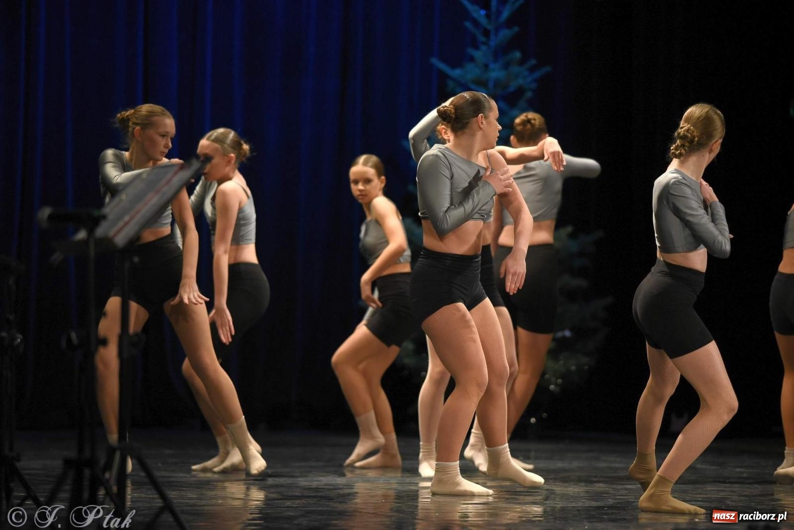Zdjęcie w galerii na portalu naszraciborz.pl: Strzecha i Skaza na wspólnym koncercie w RCK wiadomości z regionu