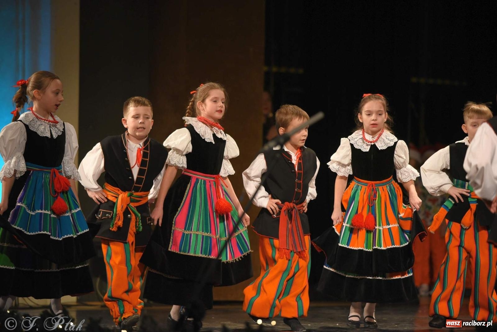 Zdjęcie w galerii na portalu naszraciborz.pl: Strzecha i Skaza na wspólnym koncercie w RCK wiadomości z regionu