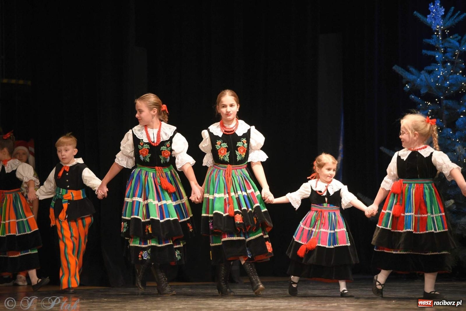 Zdjęcie w galerii na portalu naszraciborz.pl: Strzecha i Skaza na wspólnym koncercie w RCK wiadomości z regionu