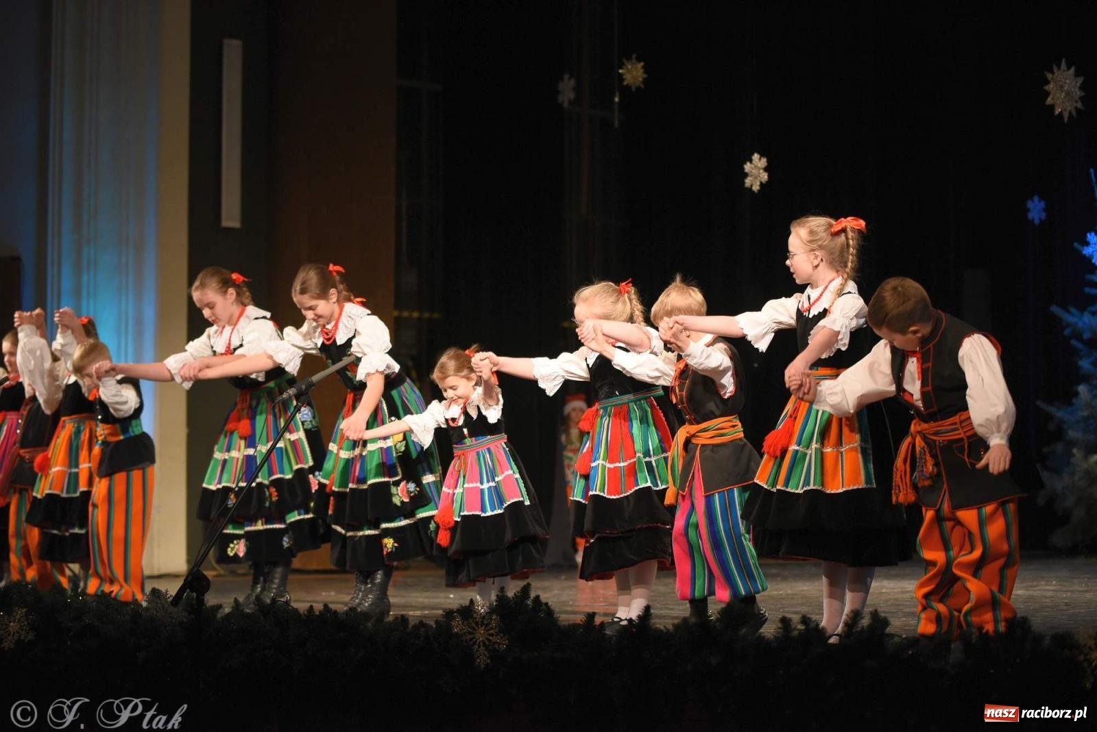 Zdjęcie w galerii na portalu naszraciborz.pl: Strzecha i Skaza na wspólnym koncercie w RCK wiadomości z regionu