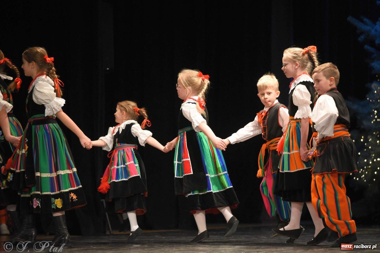 Zdjęcie w galerii na portalu naszraciborz.pl: Strzecha i Skaza na wspólnym koncercie w RCK wiadomości z regionu