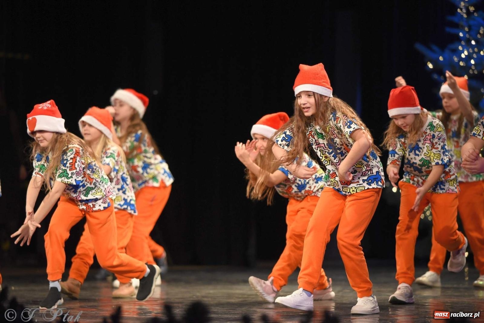 Zdjęcie w galerii na portalu naszraciborz.pl: Strzecha i Skaza na wspólnym koncercie w RCK wiadomości z regionu