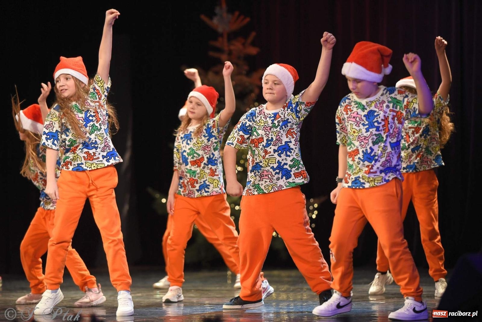 Zdjęcie w galerii na portalu naszraciborz.pl: Strzecha i Skaza na wspólnym koncercie w RCK wiadomości z regionu