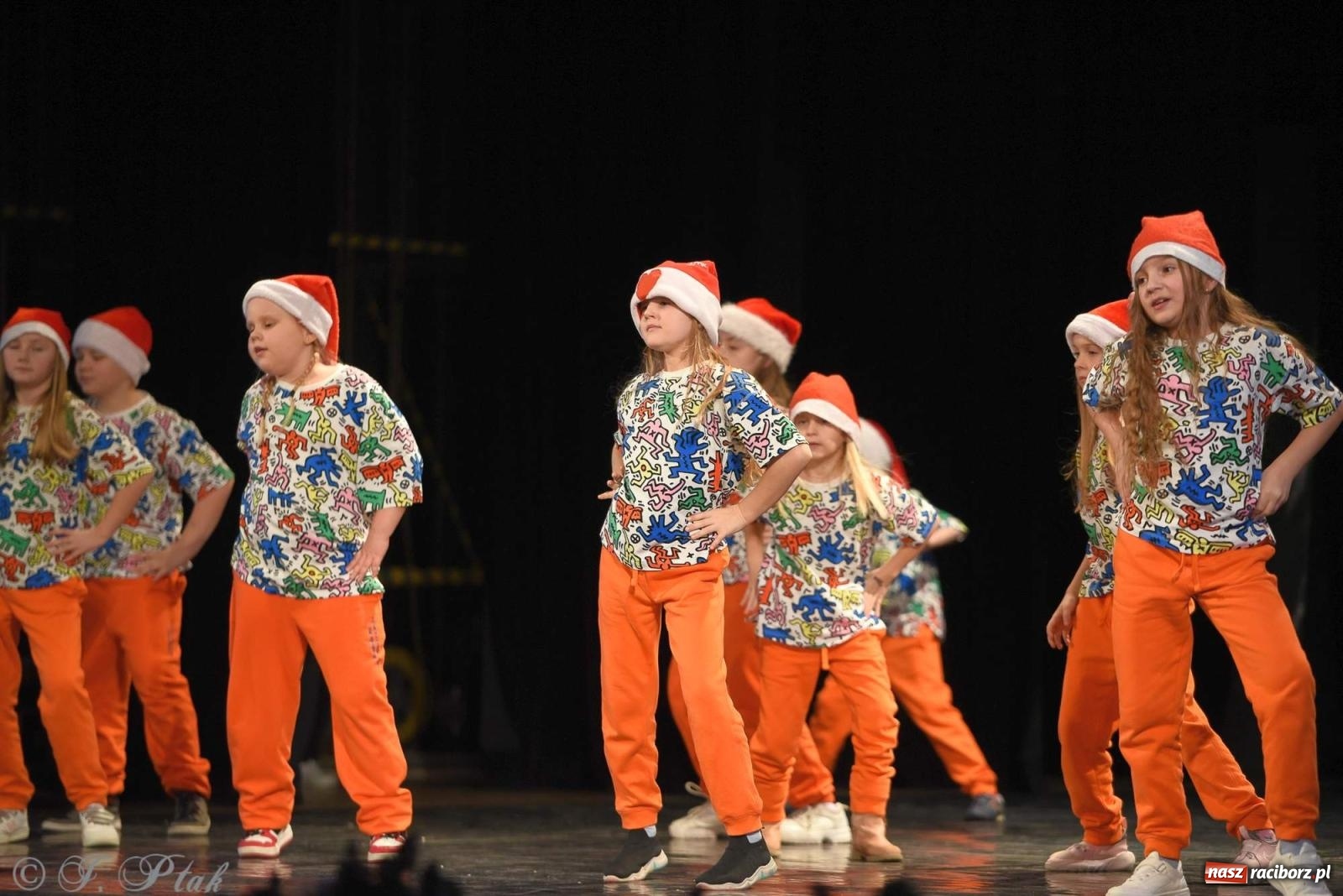 Zdjęcie w galerii na portalu naszraciborz.pl: Strzecha i Skaza na wspólnym koncercie w RCK wiadomości z regionu