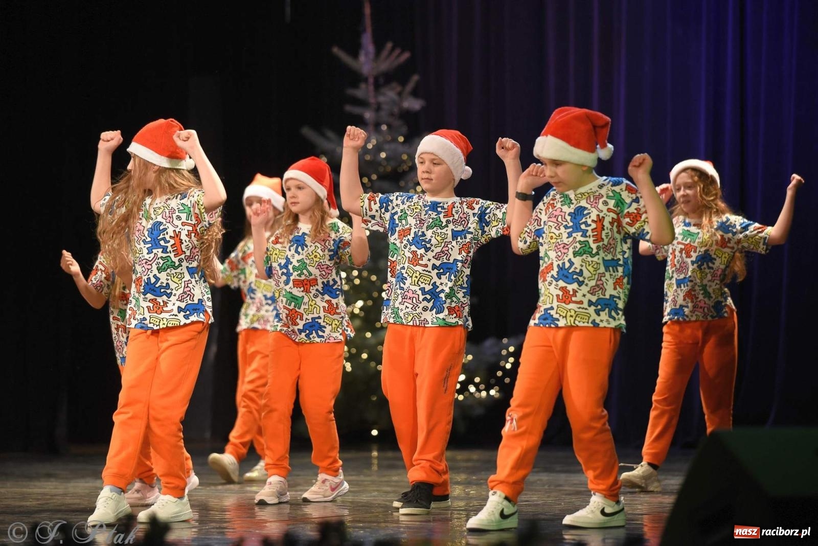 Zdjęcie w galerii na portalu naszraciborz.pl: Strzecha i Skaza na wspólnym koncercie w RCK wiadomości z regionu