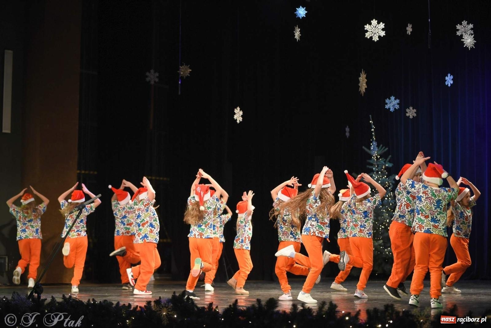 Zdjęcie w galerii na portalu naszraciborz.pl: Strzecha i Skaza na wspólnym koncercie w RCK wiadomości z regionu