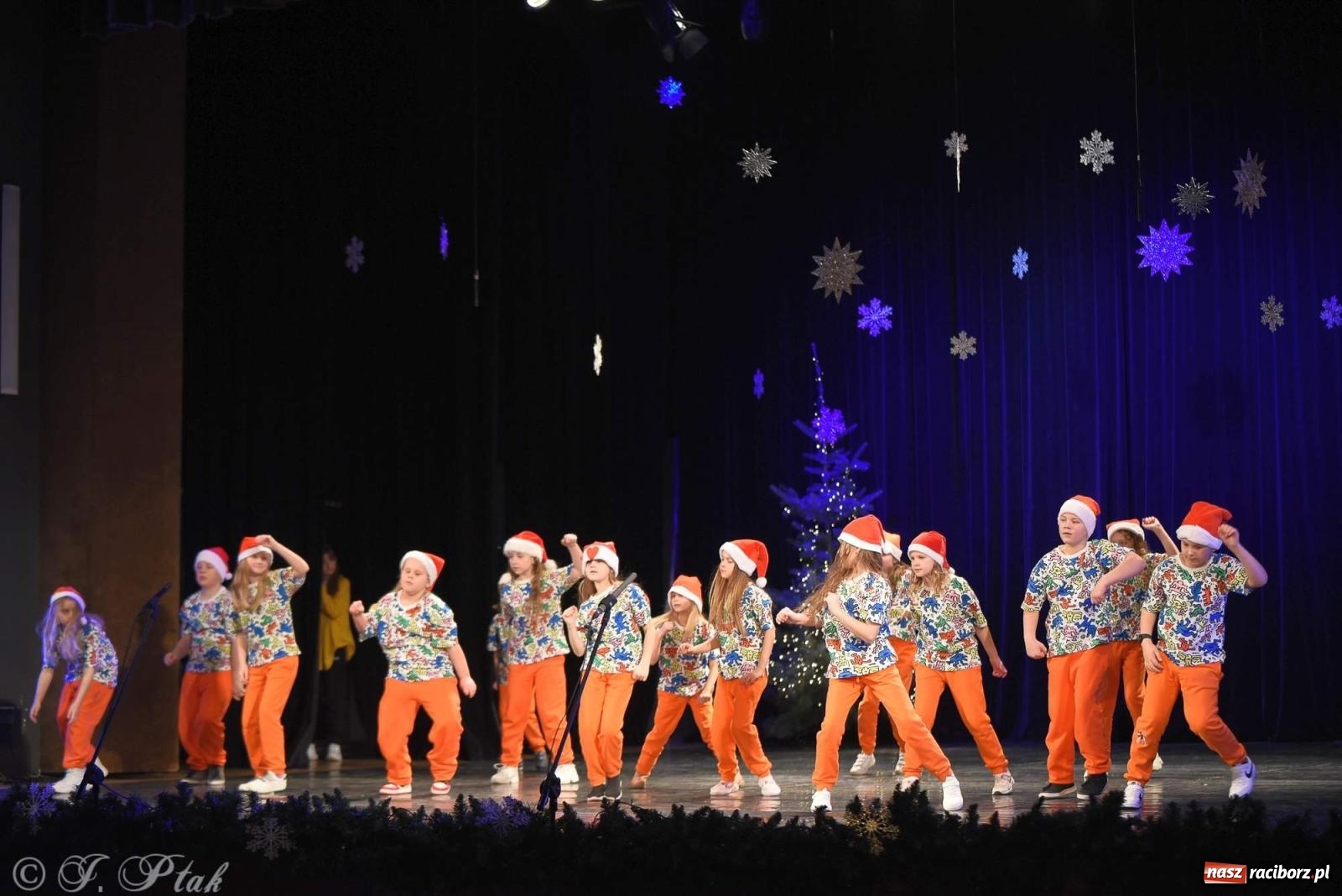 Zdjęcie w galerii na portalu naszraciborz.pl: Strzecha i Skaza na wspólnym koncercie w RCK wiadomości z regionu